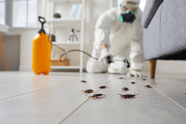 Trusted Termite Control service in Lemont Furnace, PA - Nex Pest Control